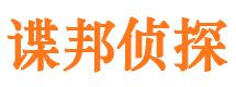 渭城侦探公司